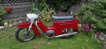 Jawa 21 bez tp - 5