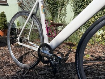 Fixed gear, furtšlap, dráhovka, singlespeed - 5