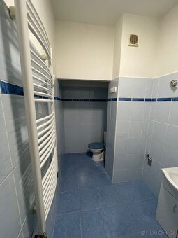 Pronájem bytu v Nejdku 1+1 - 5