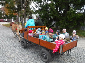 SÁNĚ A VŮZ ZA KONĚ - prodám - 5