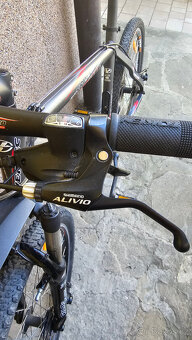 Pánské kolo Vertec - 5