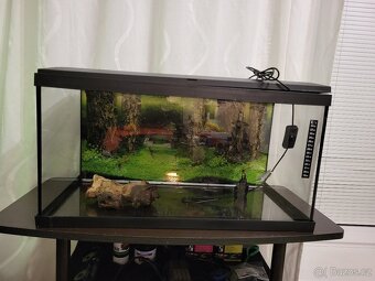 Akvárium 54 l , set s příslušenstvím - 5