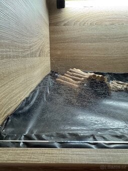 Želví stůl/terárium - 5