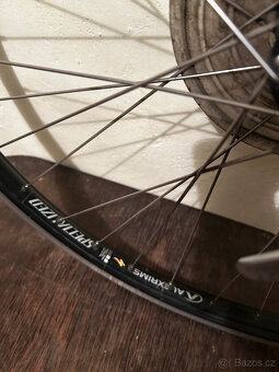 26" kola MTB Specialized Alexrims - 5