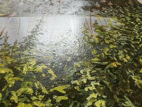 Ručně malovaný obraz bez rámu - 5