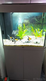 Akvárium Juwel 120l bez ryb - 5