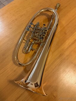 Křídlovka Hans Krinner model VK - 5