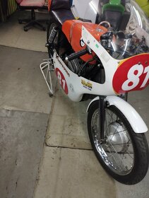 Silniční zavodni - 5