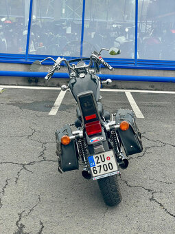 Suzuki VS 800GL X - 5