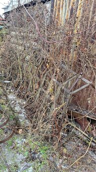 Prodám staré polnohospodářské vybavení - 5