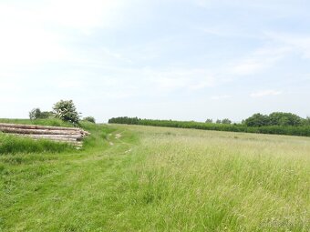 Prodej louky v k.ú. Dobroutov o výměře 17 087 m2 - 5