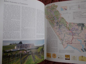 Světový atlas vína - 5