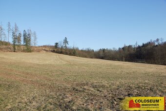 Valchov - pozemek pro komerční výstavbu, 15 204 m2 – pozemek - 5