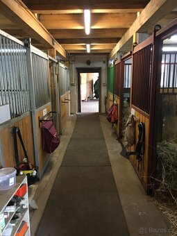 Ustájení koní - 5