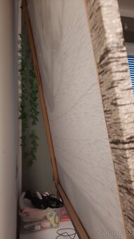 Obrazy na plátně Dětská kočka - 5