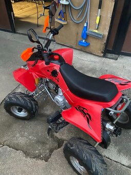 Čtyřkolka 110ccm - 5