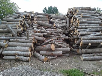 Palivové dřevo tvrdé sleva 50% - 5