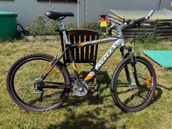 Kolo Kellys Salamander - 5