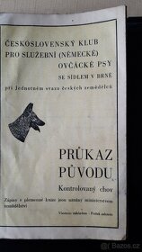 Rodokmen psa - 5