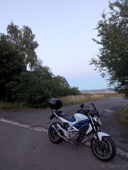 Suzuki SFV 650 Gladius 2009 - 5