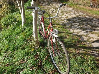 Jízdní kola retro Favorit, Eska - 5