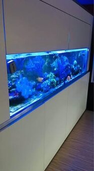 Mořské akvárium 550l plus filtrace- prodám - 5