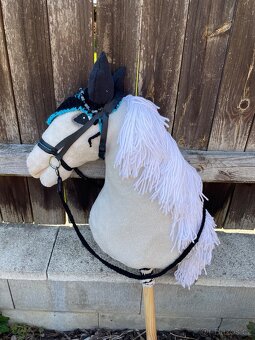 Hobby horse - 5