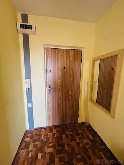Pronájem byty 2+kk, 40 m2 - LTM Liškova, ev.č. 00101-1 - 5