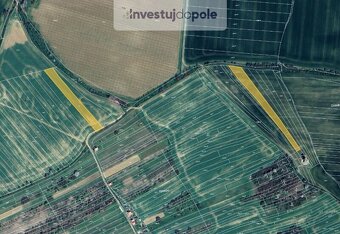 Prodej pole v k.ú. Kostelec u Kyjova, Hýsly a Moravany u Kyj - 5