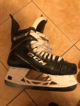 Brusle ccm ribcor 100k pro - 5