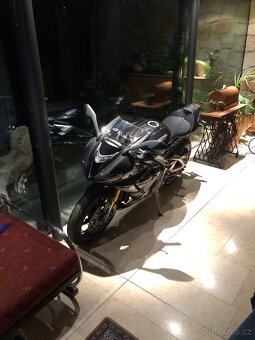Triumph Daytona Moto2 765 Limited Edition – 31/765 - 5