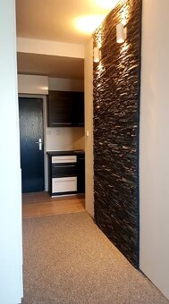 Pronájem bytu 1+kk, 31 m2, lodžie, rekonstrukce - 5