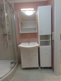 Pronajmu byt 2kk po rekonstrukci - 5