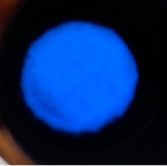 Univerzální kontrolka Bosch Praga, Škoda, Tatra, Aero - 5