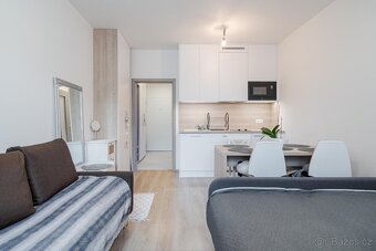 Prodej bytu 1+kk Novgorodská / Petrohradská Praha Vršovice - 5