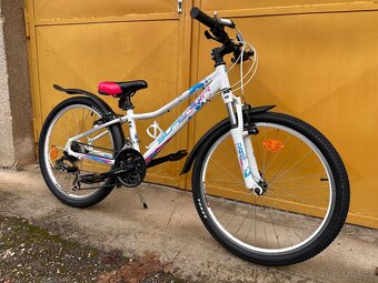 Superior Paint 24 dětské kolo s páčkovým řazením - 5