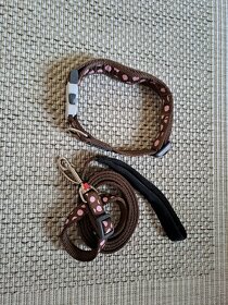 2x Obojek a vodítko  Red Dingo - 5