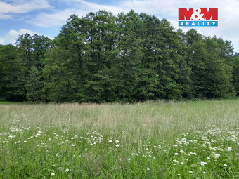Prodej louky, 19732 m², Oselce - 5