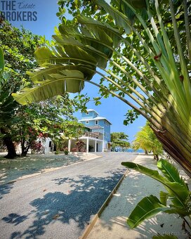 Pangea Tower Camp Bay Beach - 5