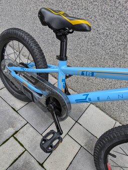 Beany Blaster 160 - 5