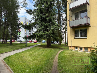 Pronájem bytu 3+1 76,2 m² - 5