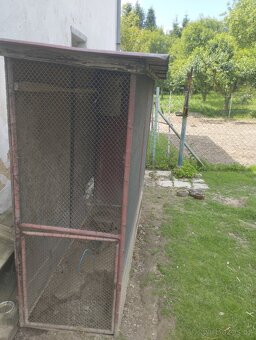 Velká ptačí voliéra - 5