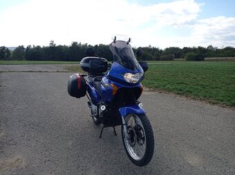 Honda Transalp - 5