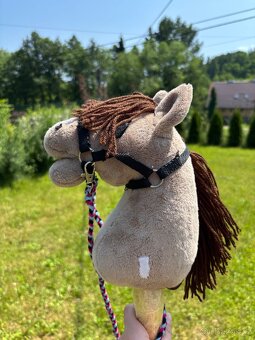 Hobby horse - 5