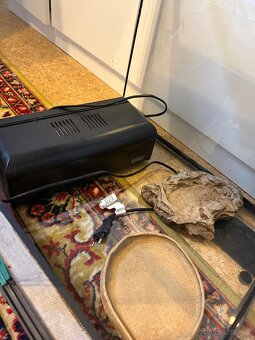 Terárium Repti Planet 45x45x50cm - 5