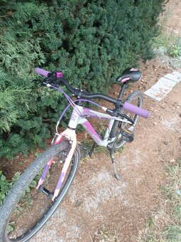 Dětské kolo Rock Machine Thunder 24 - 5