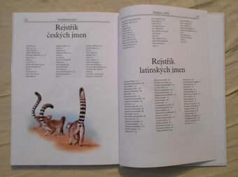 Kůs, Knotkovi - Mláďata v ZOO - 1993 - 5