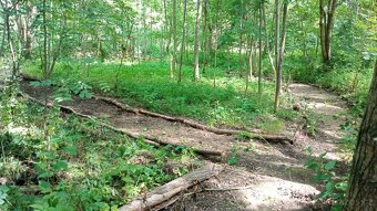 Prodám pozemek u Votic - 1.118 m2 - 5