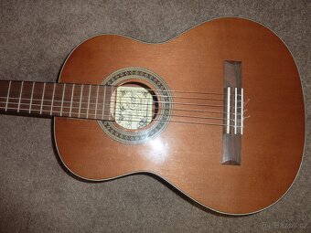 Dětská klasická kytara 1/2 Salvador Cortez Student CC-10-BB - 5