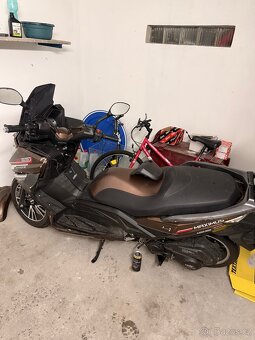 Kentoya Maximus r.v. 2024 - 5